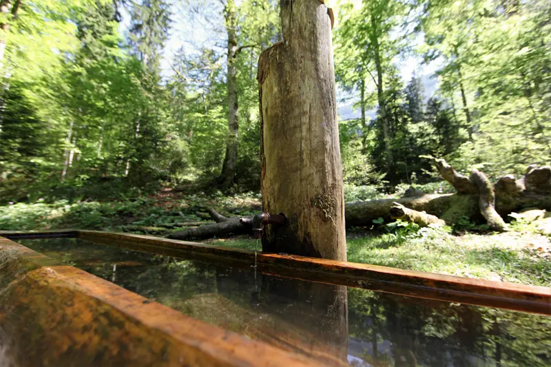 La fontaine froide à Noiraigue